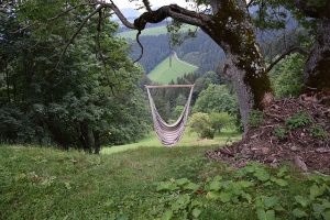 Hammock in the backyard